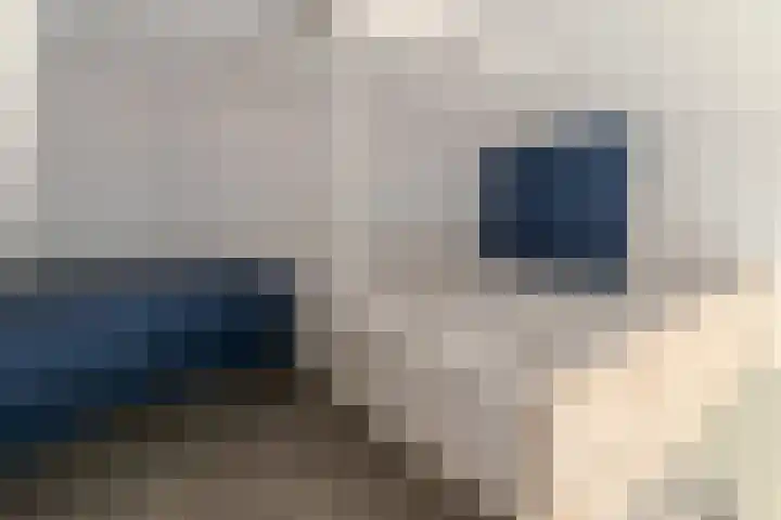 Mooriaanstraat 4 Wormer thumbnail 17