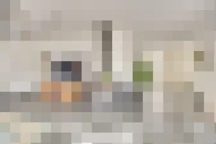 Moormanlaan 9 Knegsel thumbnail 15
