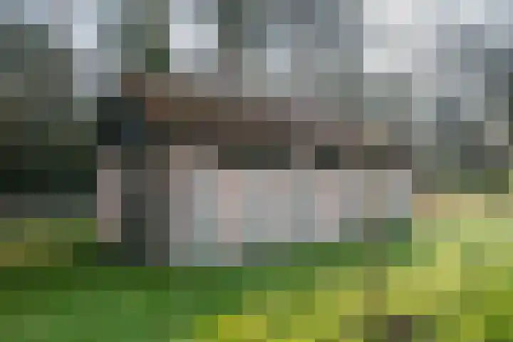 Moormanlaan 9 Knegsel thumbnail 61