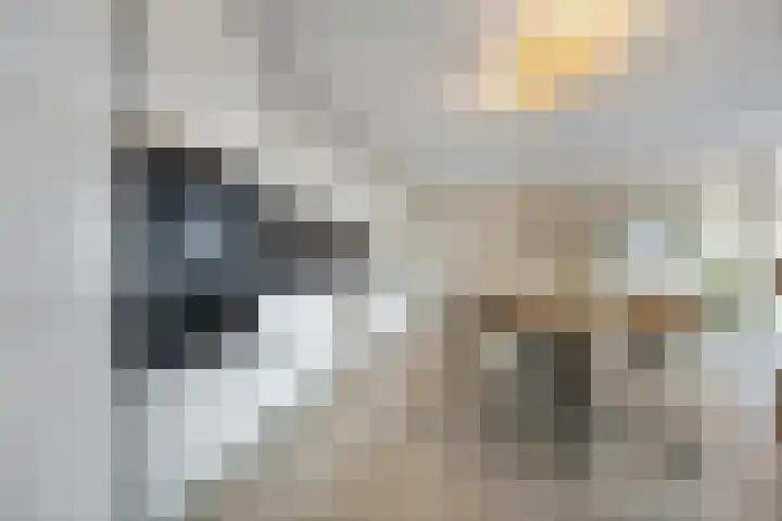 Moormannstraat 59 Lent thumbnail 6
