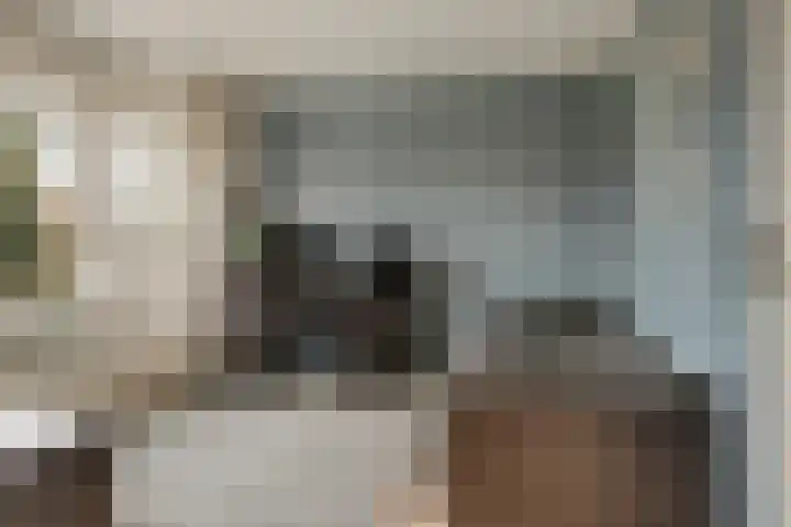 Moormanstraat 8 Hulst thumbnail 24