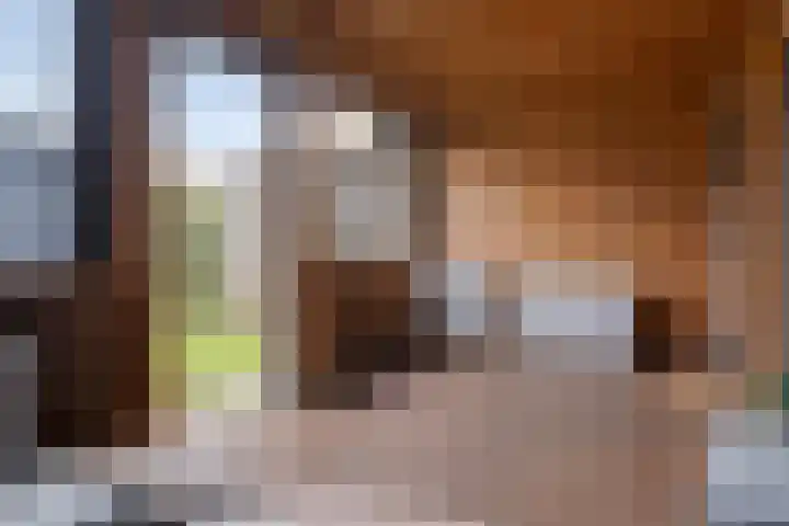 Moormanstraat 8 Hulst thumbnail 36