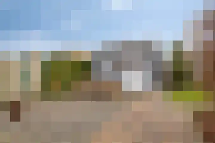 Moormanstraat 8 Hulst thumbnail 38
