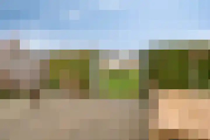 Moormanstraat 8 Hulst thumbnail 39