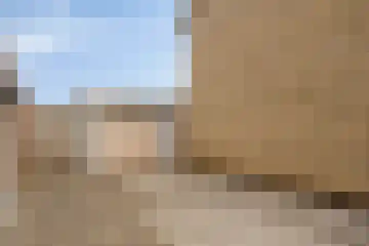 Moormanstraat 8 Hulst thumbnail 41