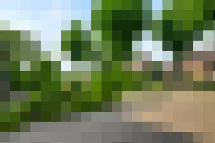 Moostdijk 9 Ospel thumbnail 10