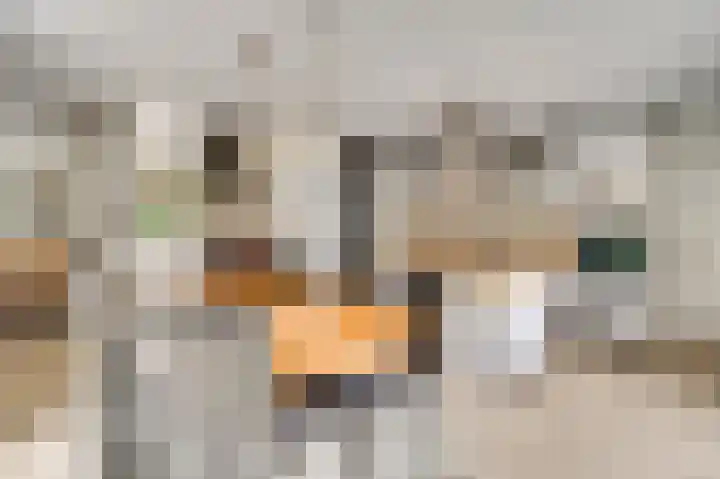 Moostdijk 9 Ospel thumbnail 21