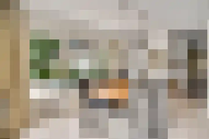 Moostdijk 9 Ospel thumbnail 22