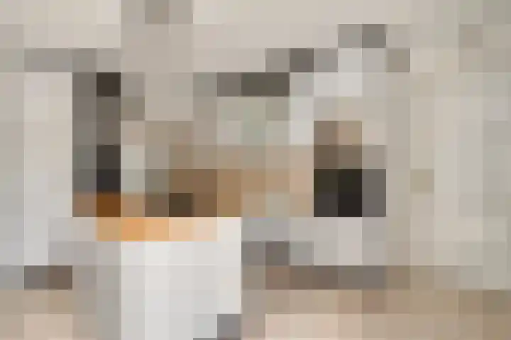 Moostdijk 9 Ospel thumbnail 23