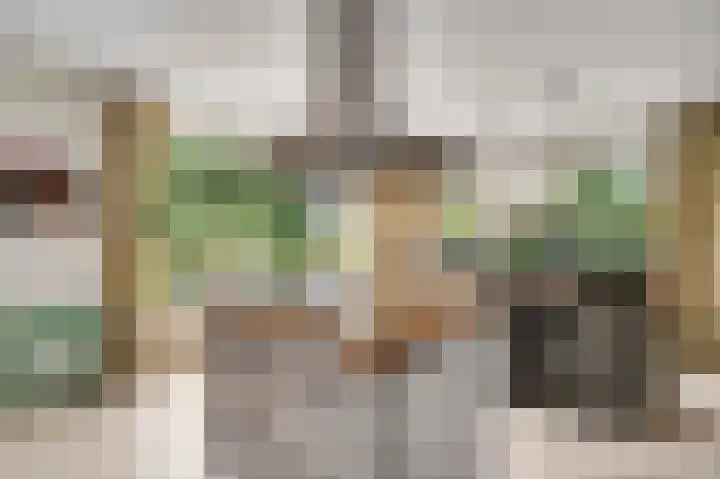 Moostdijk 9 Ospel thumbnail 25