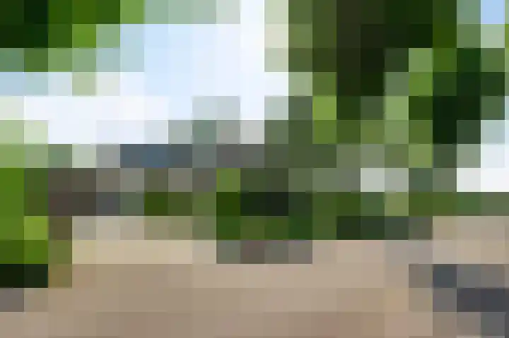 Moostdijk 9 Ospel foto 3