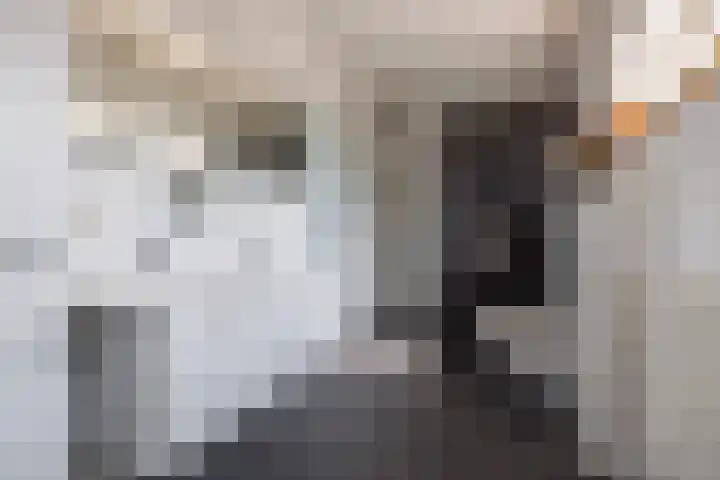 Moostdijk 9 Ospel thumbnail 32