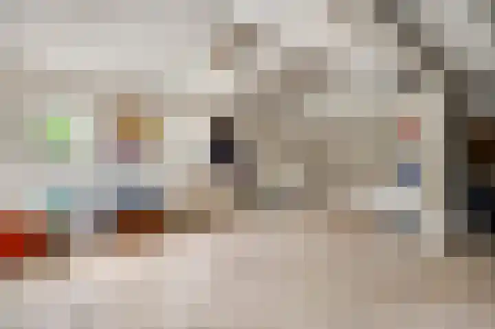 Moostdijk 9 Ospel thumbnail 33