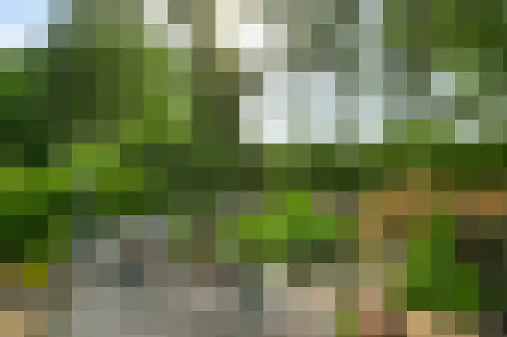 Moostdijk 9 Ospel thumbnail 35