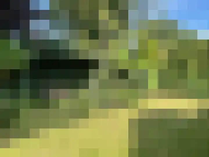 Moostdijk 9 Ospel thumbnail 36