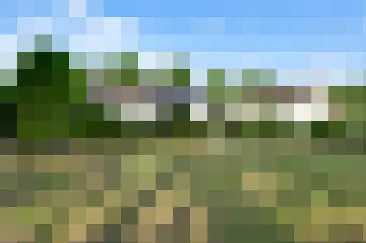 Moostdijk 9 Ospel thumbnail 37