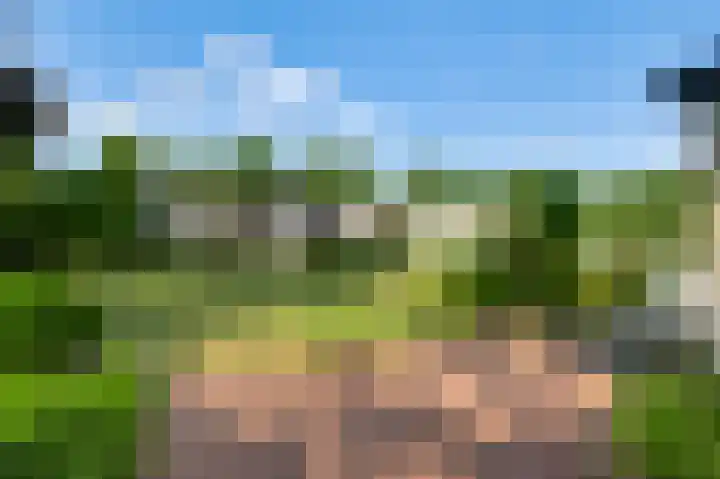 Moostdijk 9 Ospel thumbnail 39