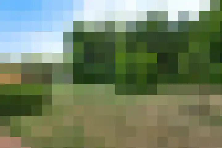 Moostdijk 9 Ospel thumbnail 42