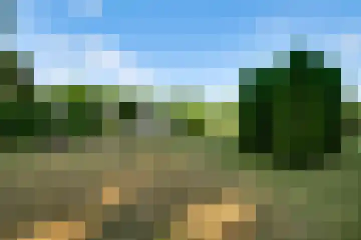 Moostdijk 9 Ospel thumbnail 43