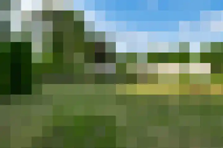 Moostdijk 9 Ospel thumbnail 44