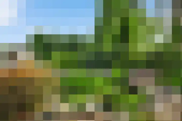 Moostdijk 9 Ospel thumbnail 53