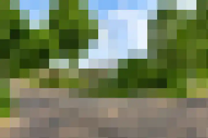 Moostdijk 9 Ospel thumbnail 55