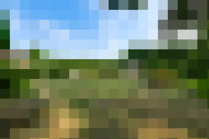 Moostdijk 9 Ospel thumbnail 6