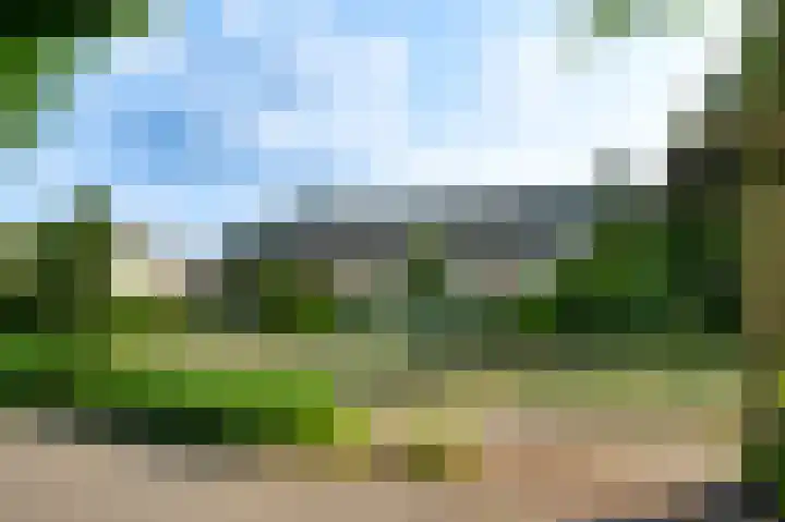 Moostdijk 9 Ospel thumbnail 8