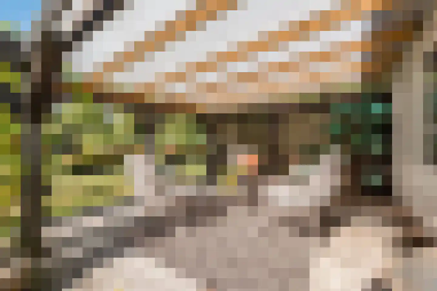 Moraineweg 22 Spier thumbnail 58