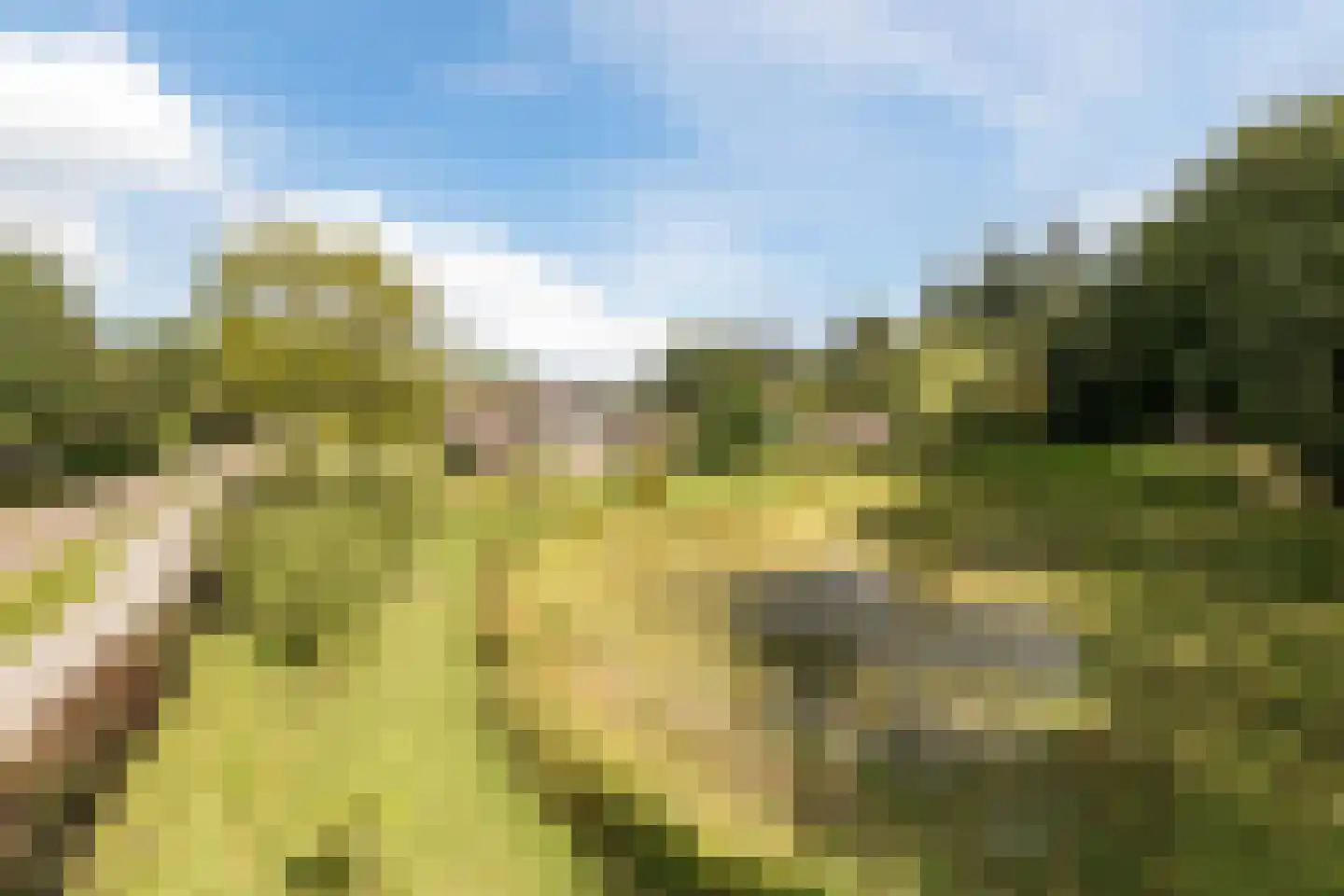 Moraineweg 22 Spier thumbnail 61