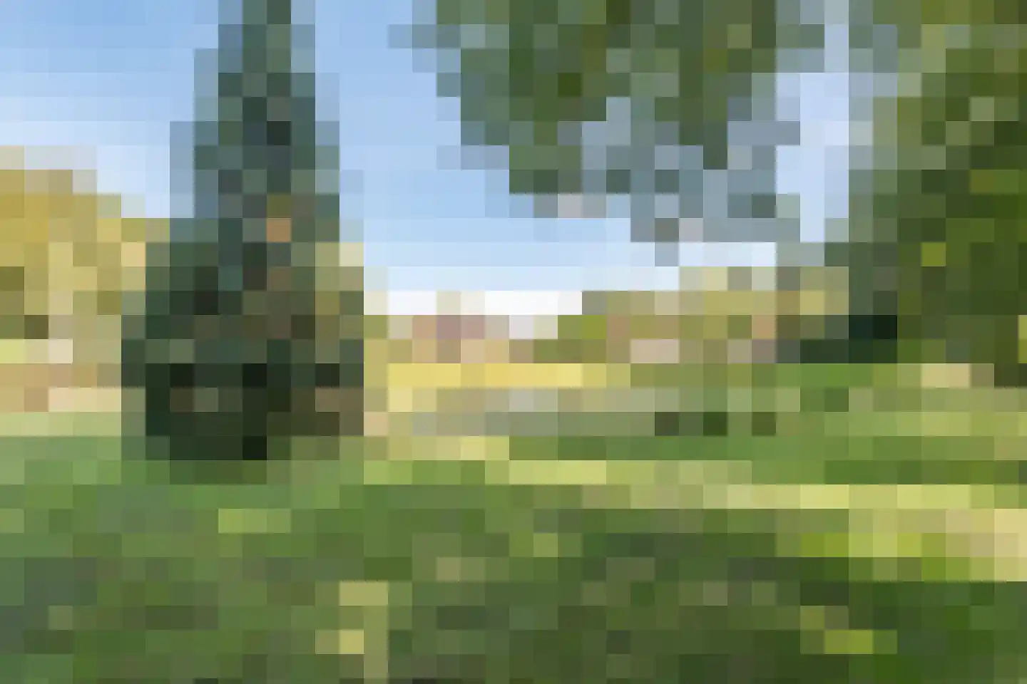 Moraineweg 22 Spier thumbnail 65
