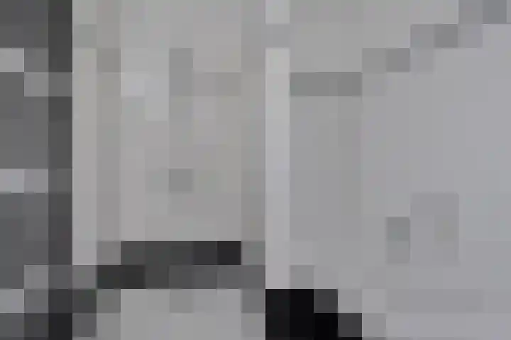Morane 1 Soesterberg thumbnail 21