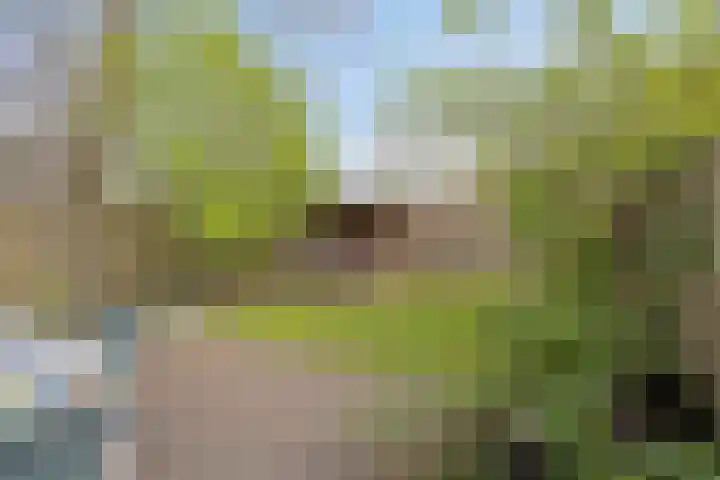 Morane 1 Soesterberg thumbnail 32