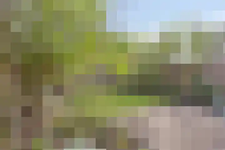 Morane 1 Soesterberg thumbnail 33
