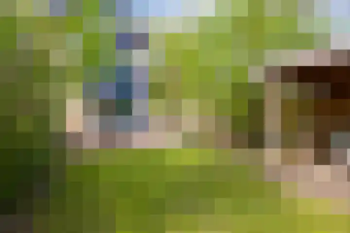 Morane 1 Soesterberg thumbnail 34