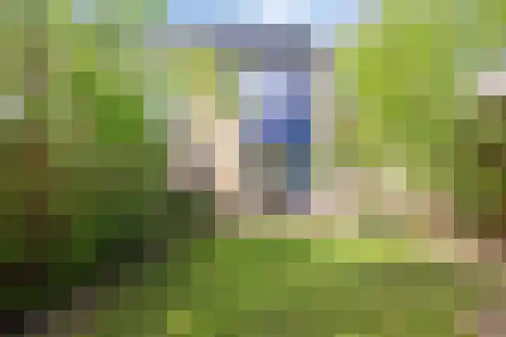 Morane 1 Soesterberg thumbnail 35