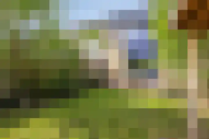 Morane 1 Soesterberg thumbnail 37