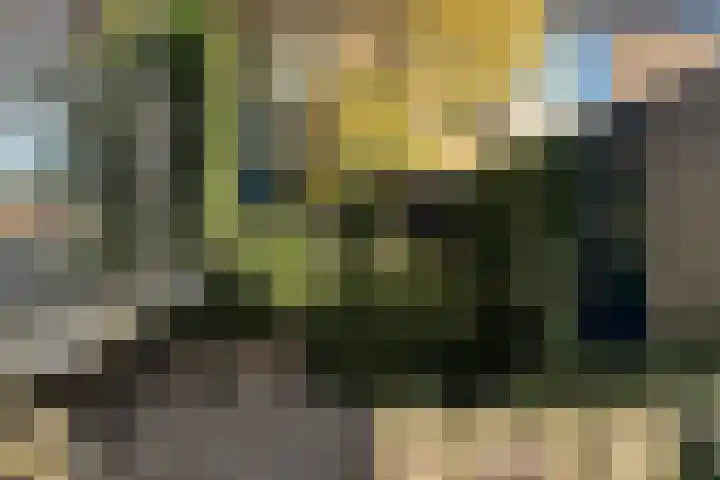 Morane 1 Soesterberg thumbnail 4