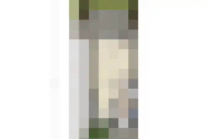 Morane 1 Soesterberg thumbnail 43