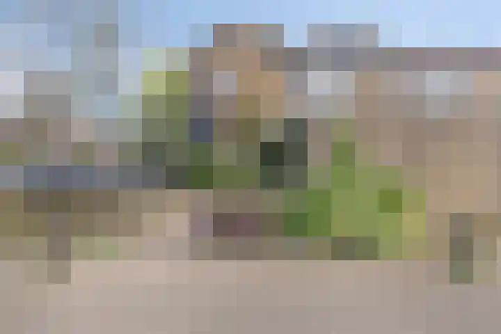 Morane 1 Soesterberg thumbnail 44