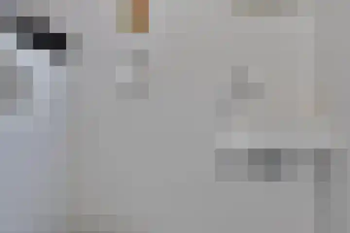 Morane 1 Soesterberg thumbnail 8