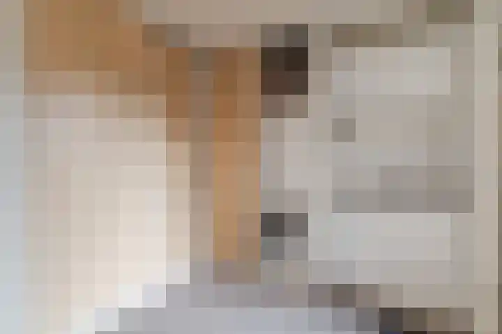 Morel 167 Uden thumbnail 24