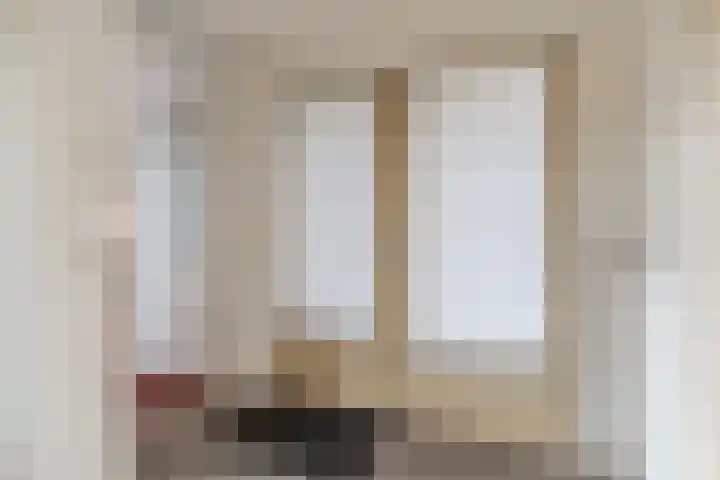 Morel 167 Uden thumbnail 25