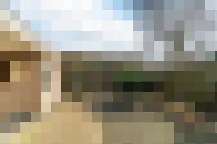 Morel 167 Uden thumbnail 26