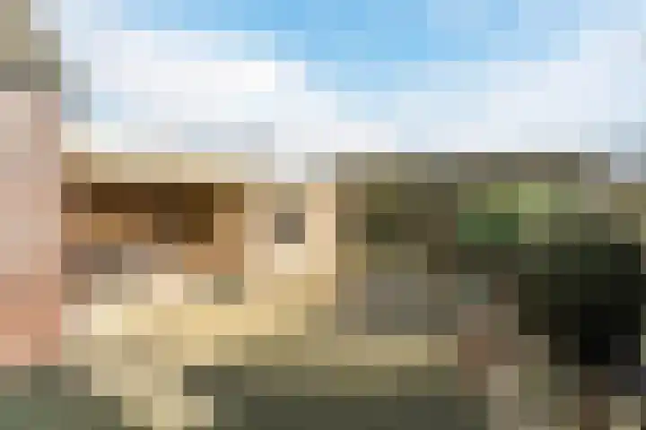 Morel 167 Uden thumbnail 27