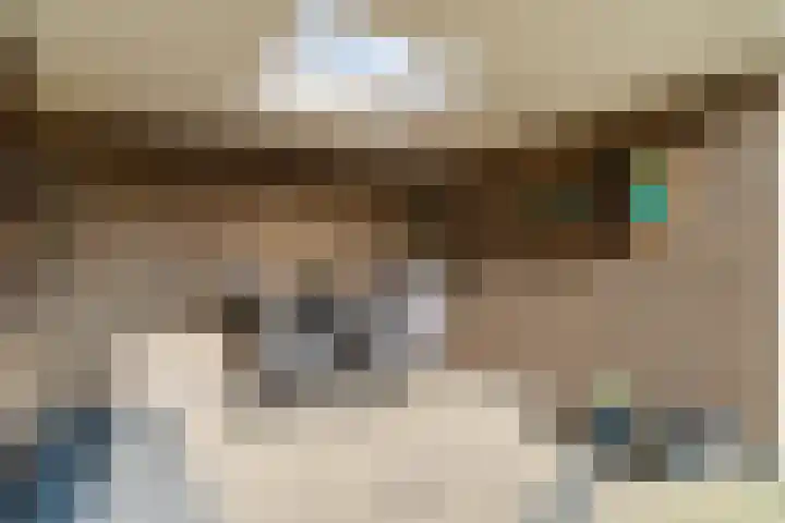 Morel 167 Uden thumbnail 29