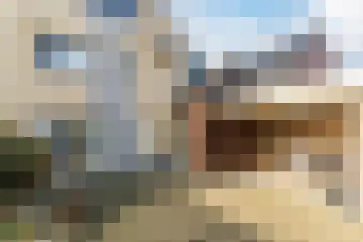 Morel 167 Uden thumbnail 30