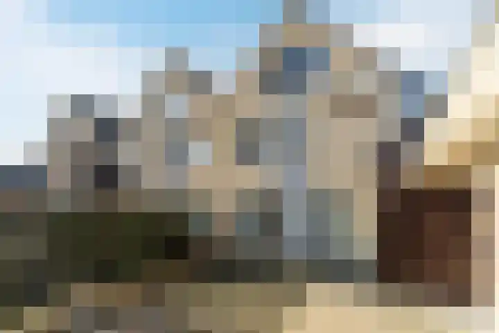 Morel 167 Uden thumbnail 31