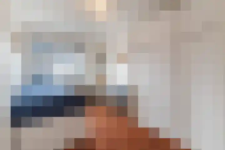 Morel 167 Uden thumbnail 34