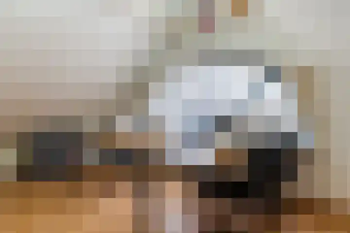 Morel 167 Uden thumbnail 48